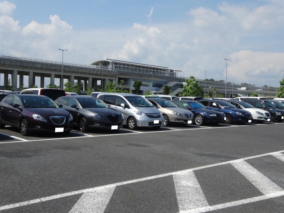 DSC00871 - コピー.JPG